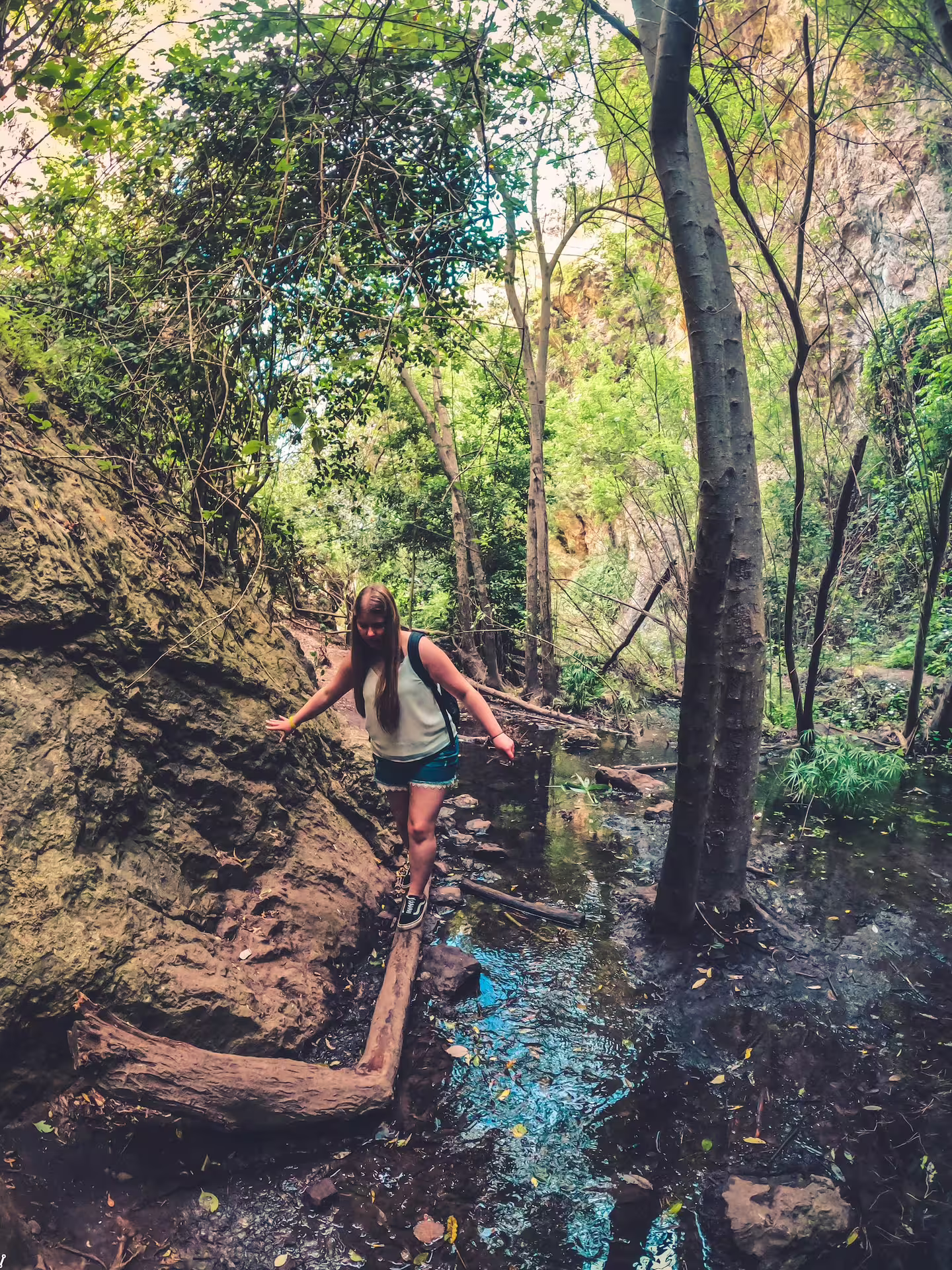 Solo hiker balancing on a log over a stream in a vibrant rainforest setting, part of The Rainforest Tour experience.