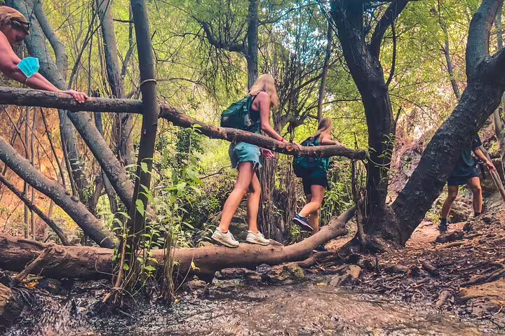 Cross bridges made of trees.