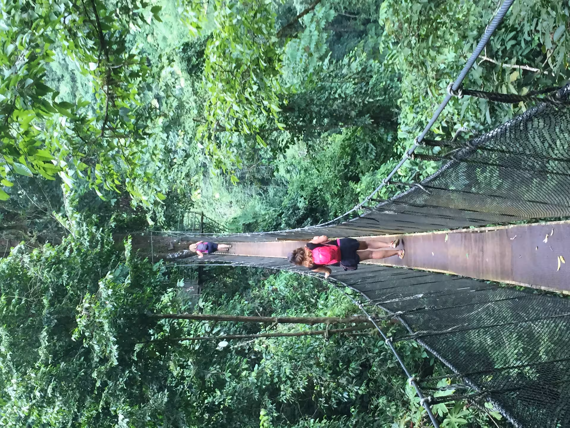 Tourists walking on a lush canopy bridge in Rainmaker Park, Manuel Antonio, offering an immersive rainforest experience.