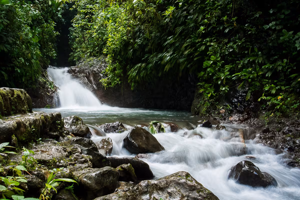 Serene rainforest waterfall at Rainmaker Park, ideal for a nature tour from Manuel Antonio.
