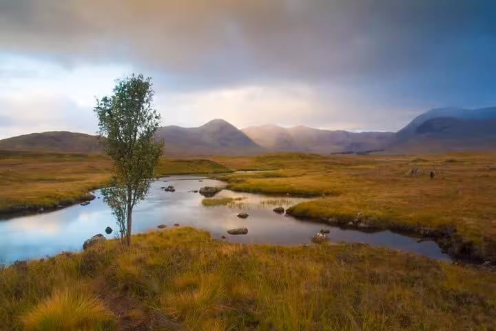 Rannoch Moor lochan at sunset with lone tree and misty peaks, Glencoe and Highlands Adventure tour