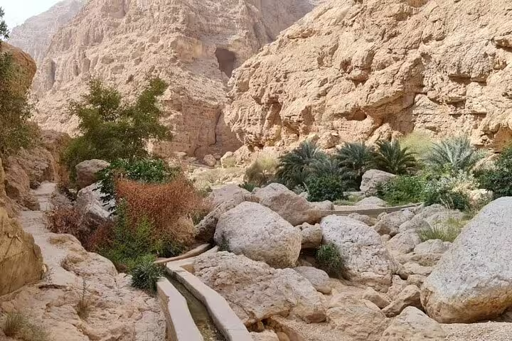 Lush oasis with palm trees and rocky landscape, ideal for Ras Al Hadd overnight camping adventures.