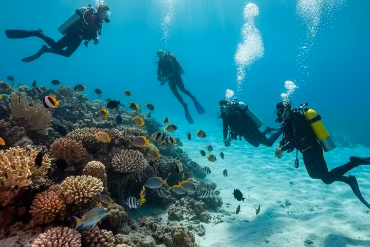 Scuba divers explore Ras Mohamed coral reef with tropical fish on VIP boat snorkeling and diving tour