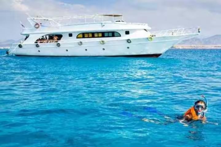 Boat cruise to Ras Mohamed and White Island with snorkeler in clear Red Sea water near Sharm El Sheikh