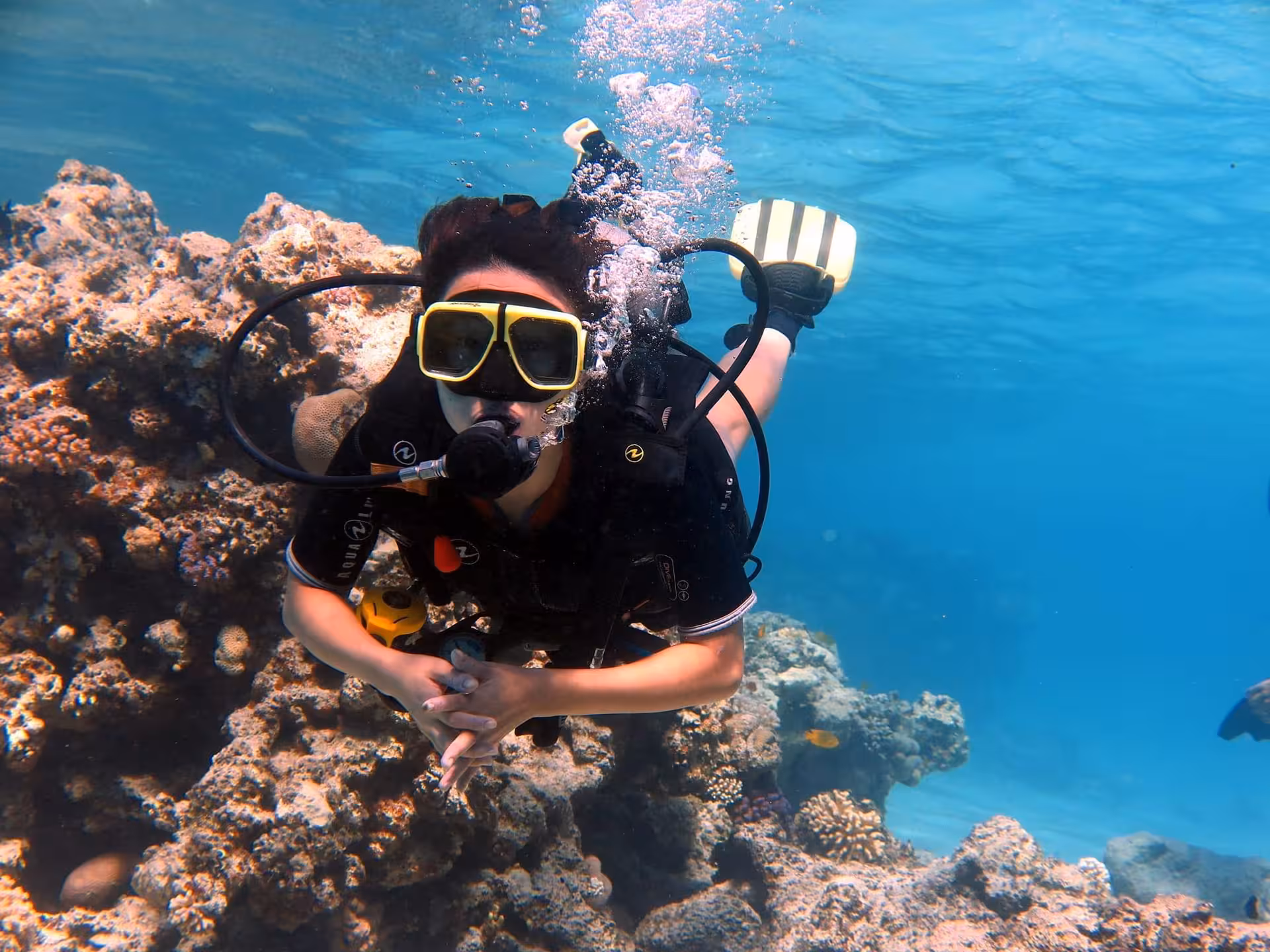 Diver exploring colorful coral reef in Ras Mohammed National Park, Red Sea, on White Island snorkeling tour