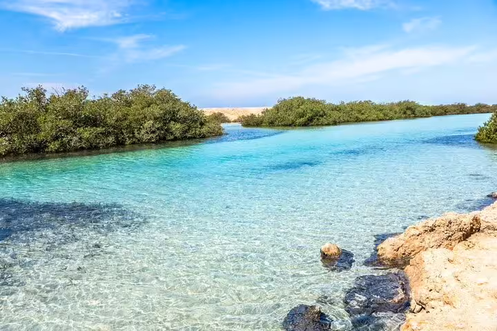 Crystal-clear mangrove lagoon at Ras Mohammed National Park, visited on a Sharm El Sheikh half-day bus tour