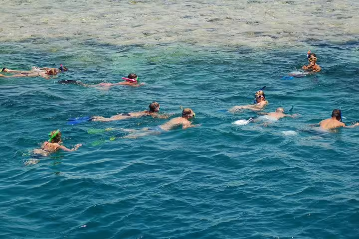Snorkelers floating over clear Red Sea waters on a private Ras Mohammed National Park day tour from Sharm