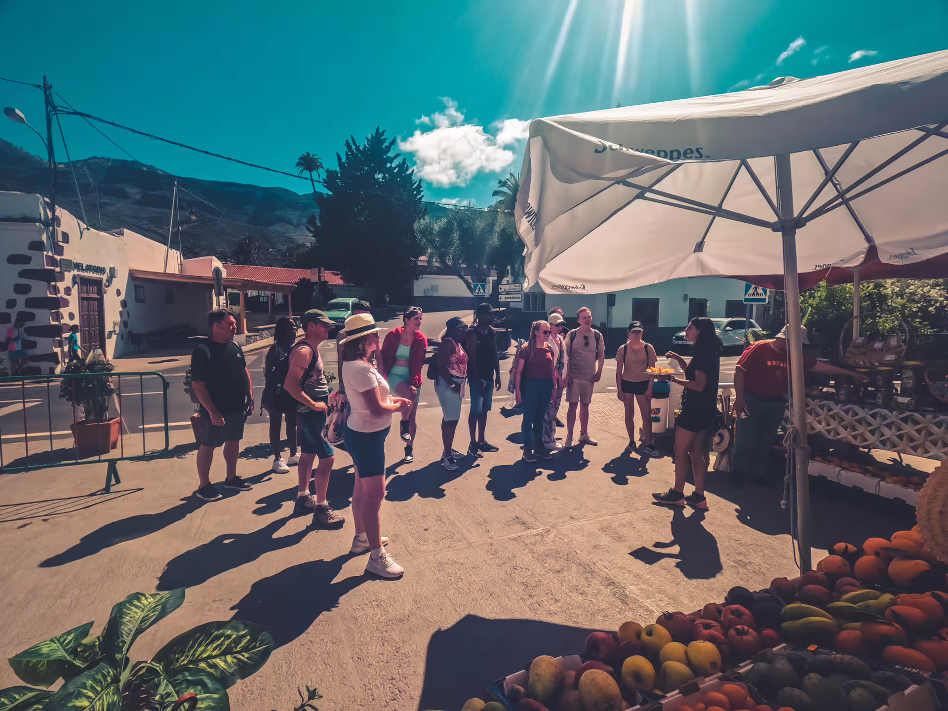 Tour group enjoying a sunny day at a vibrant local market during the Red Canyon Tour, highlighting cultural exploration.