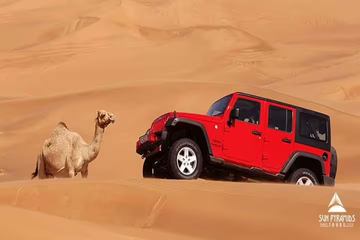 Red Jeep Wrangler beside a camel on golden dunes during desert super safari with camel ride and Bedouin dinner