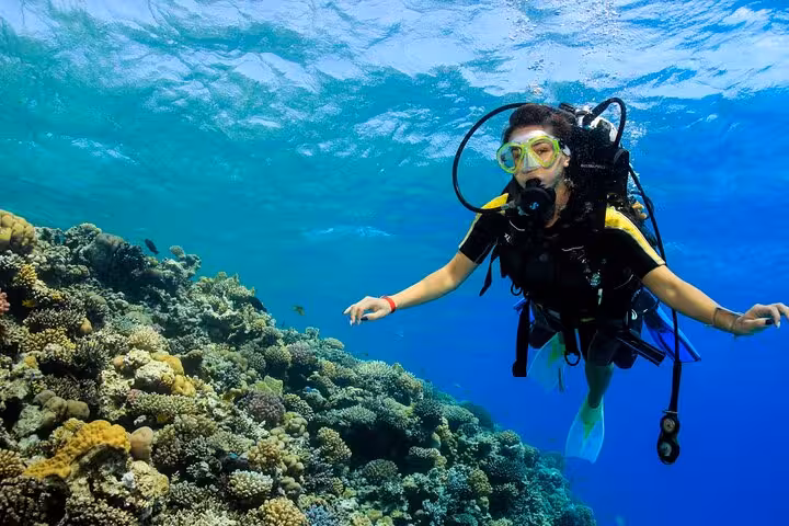 Diver exploring vibrant coral reefs in the Red Sea, showcasing marine life on a 13-day Cairo and Nile Valley adventure.
