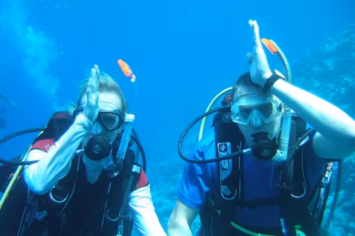 Divers give the OK sign underwater in Egypt’s Red Sea, crystal-clear visibility for beginner scuba tours