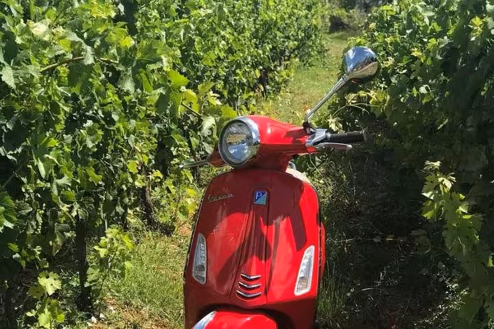 Classic red Vespa parked amidst lush vineyards in Florence, perfect for a scenic motorcycle rental adventure.
