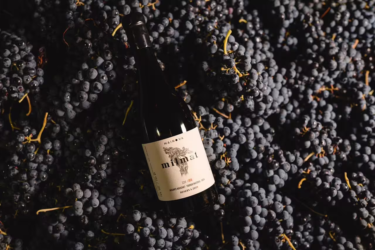 Bottle of red wine nestled among ripe grapes, perfect for an immersive tour and tasting experience of three exquisite wines.