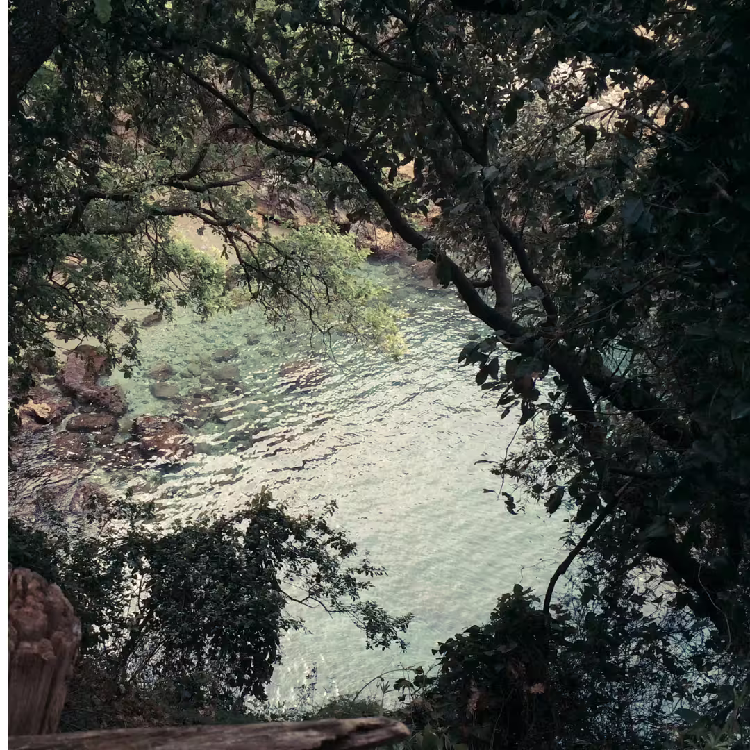 Shaded forest viewpoint on Regina Giovanna trekking route, overlooking tranquil rocky cove and clear Tyrrhenian Sea