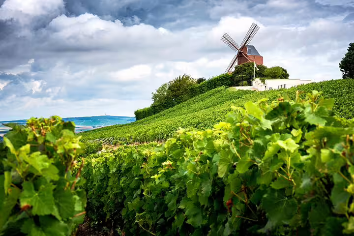 Lush vineyards in Reims with a scenic windmill backdrop, perfect for a private Champagne day trip with French lunch from Paris.
