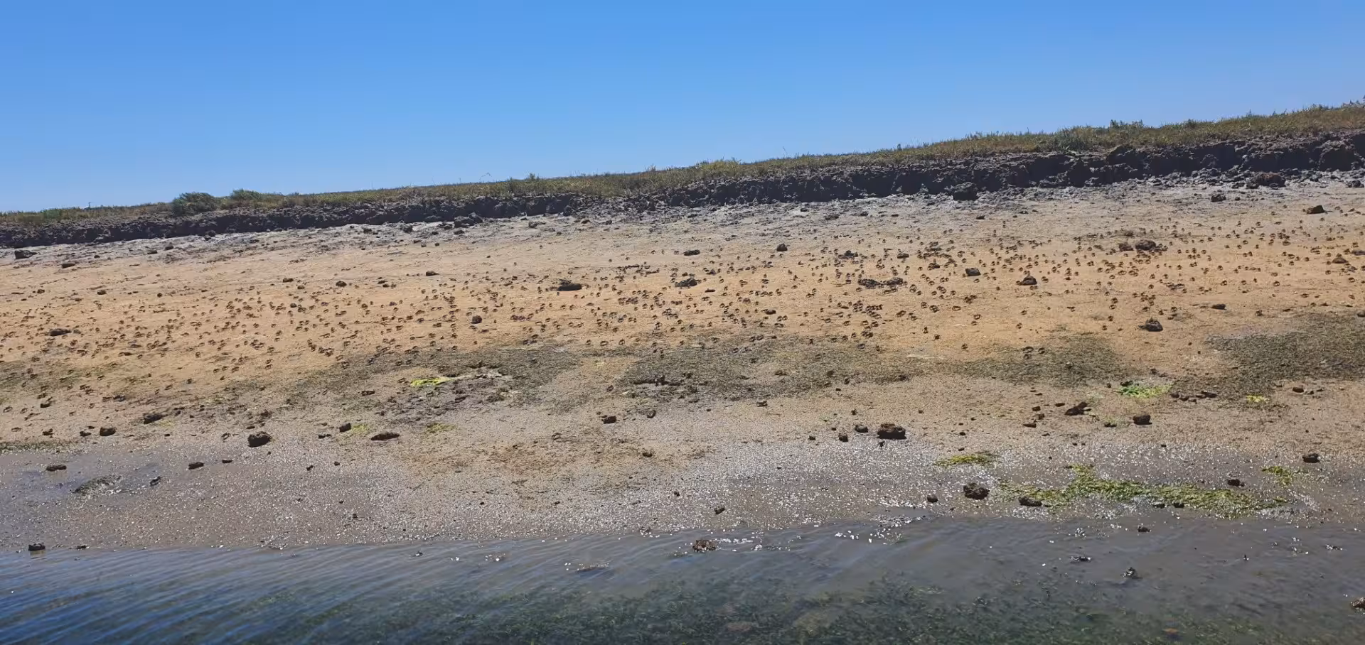 Rocky coastal terrain in Ria Formosa, showcasing unique natural landscapes perfect for an Algarve private tour.