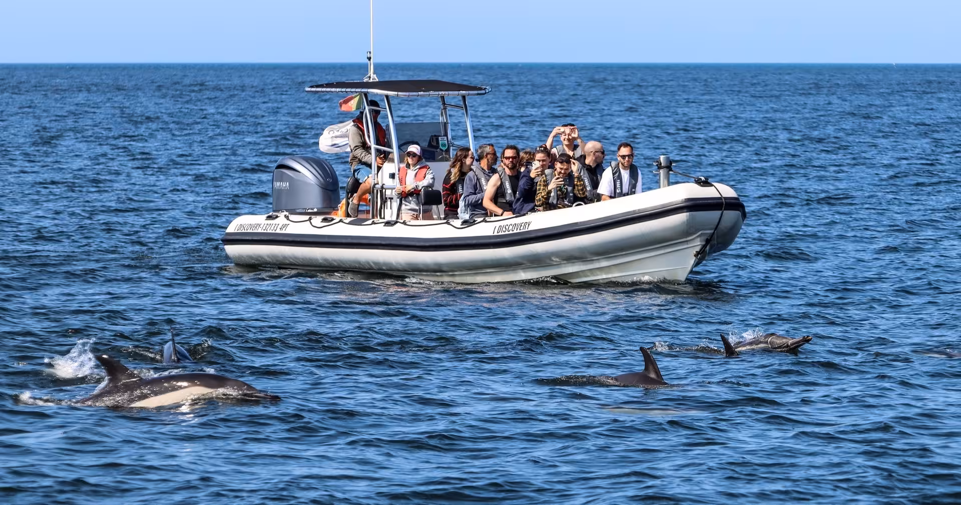RIB boat dolphin watching tour from Lisbon on the Atlantic, with passengers spotting a pod near the bow