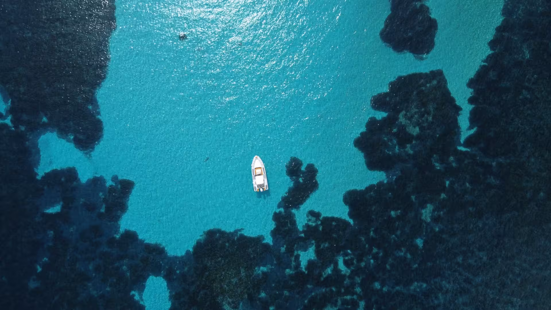 Aerial view of a RIB boat on the sparkling turquoise waters of the Gulf of Asinara, surrounded by dark coral formations.