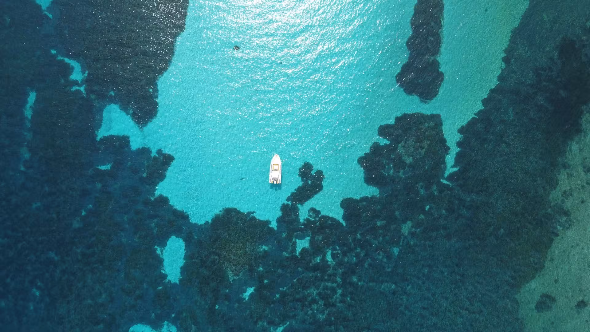 RIB boat floating on vibrant turquoise waters amidst coral formations in the Gulf of Asinara, showcasing stunning marine views.