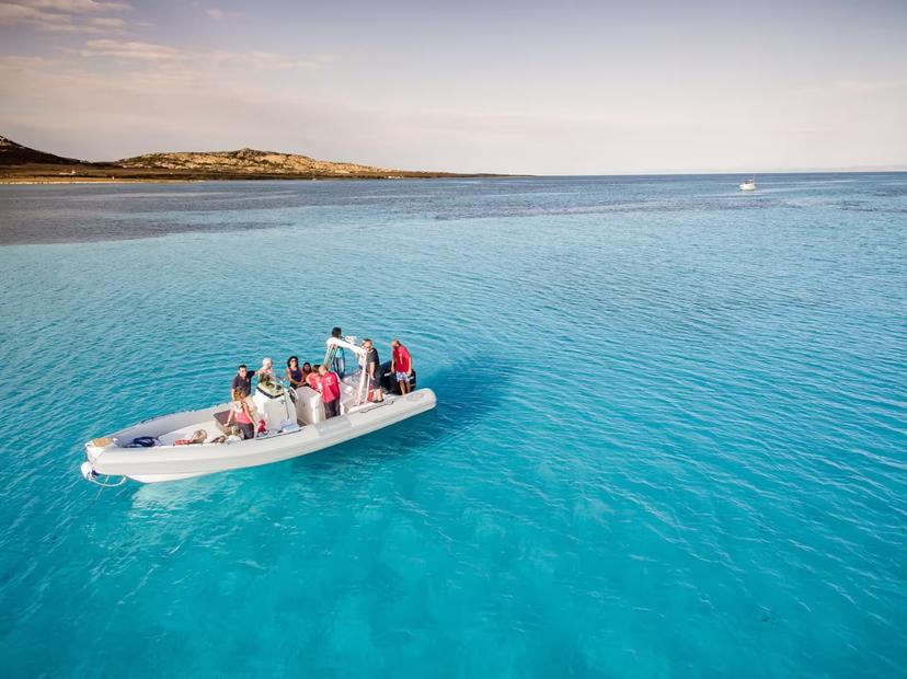 Group enjoying a RIB boat tour on the clear blue waters of the Gulf of Asinara, surrounded by scenic landscapes.