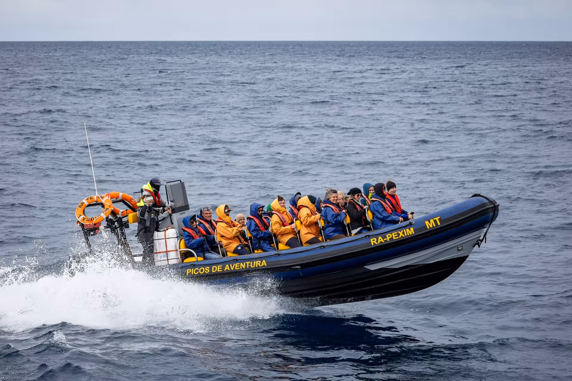 RIB speedboat with passengers in life jackets on a half-day whale and dolphin watching tour at sea