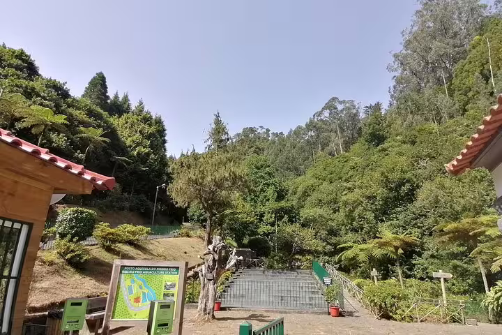 Entrance to Ribeiro Frio with vibrant forest backdrop, ideal for hiking and nature exploration in Madeira.