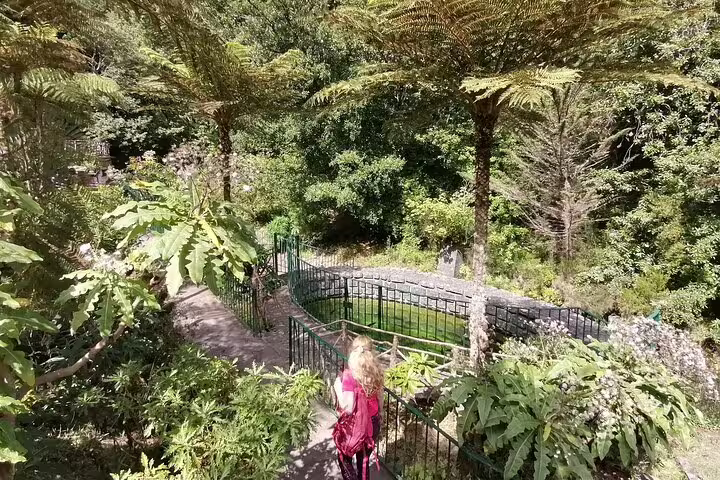 Visitor exploring the verdant trails of Ribeiro Frio, surrounded by dense foliage and tranquil pathways.