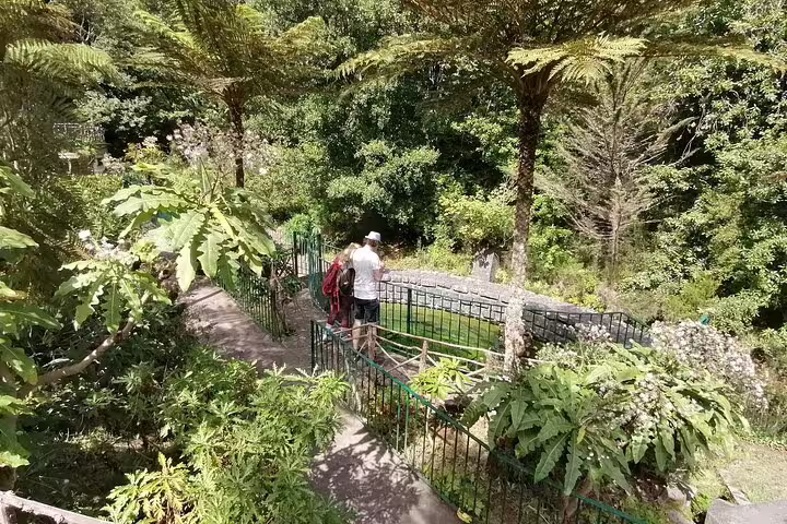 Visitors exploring the lush greenery and pathways of Ribeiro Frio, a popular destination for nature lovers.