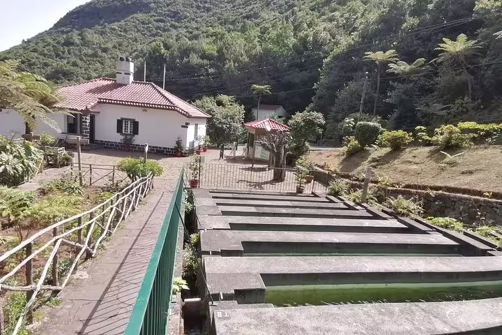 Charming village scene at Ribeiro Frio with traditional houses and lush mountainous backdrop.