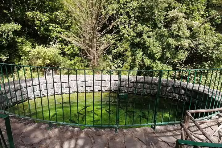 Circular trout pond surrounded by greenery and stone walls at Ribeiro Frio, featured in the Portela tour.