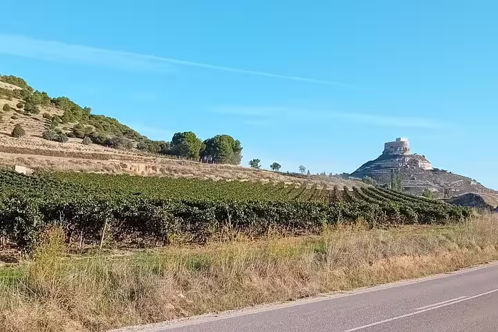 Scenic vineyard landscape in Ribera del Duero with a historic castle in the background and clear blue skies.