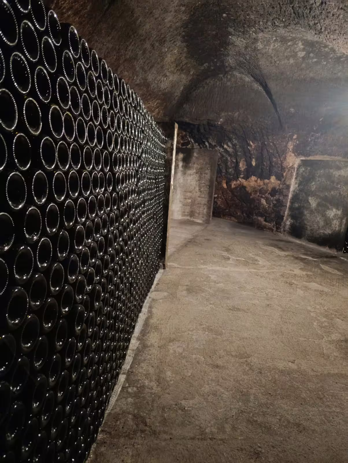 Explore Ribera del Duero's historic wine cellar with rows of aging bottles in a stone-walled vault.