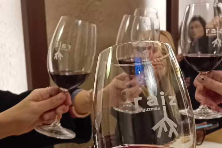 Guests toast with Ribera del Duero red wine glasses at a cellar on a tour from Madrid.