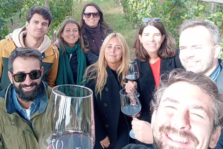 Tour group at Ribera del Duero vineyard, smiling and holding wine glasses during the Madrid wine tour.