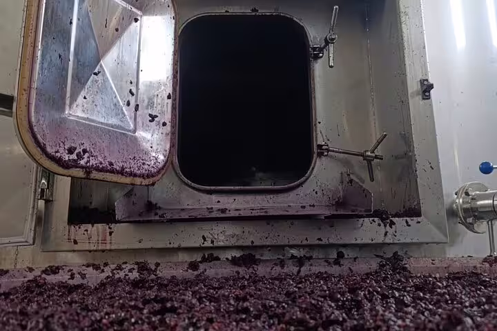 Inside view of a winery tank with grape residue, highlighting the fermentation process on the Ribera del Duero wine tour.
