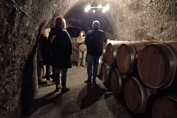 Experience a guided tour of a historic Ribera del Duero wine cellar, learning about traditional wine aging processes.
