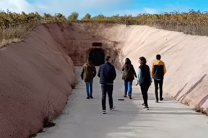 Tourists walking towards an underground wine cellar entrance surrounded by vineyards in Ribera del Duero, Spain.
