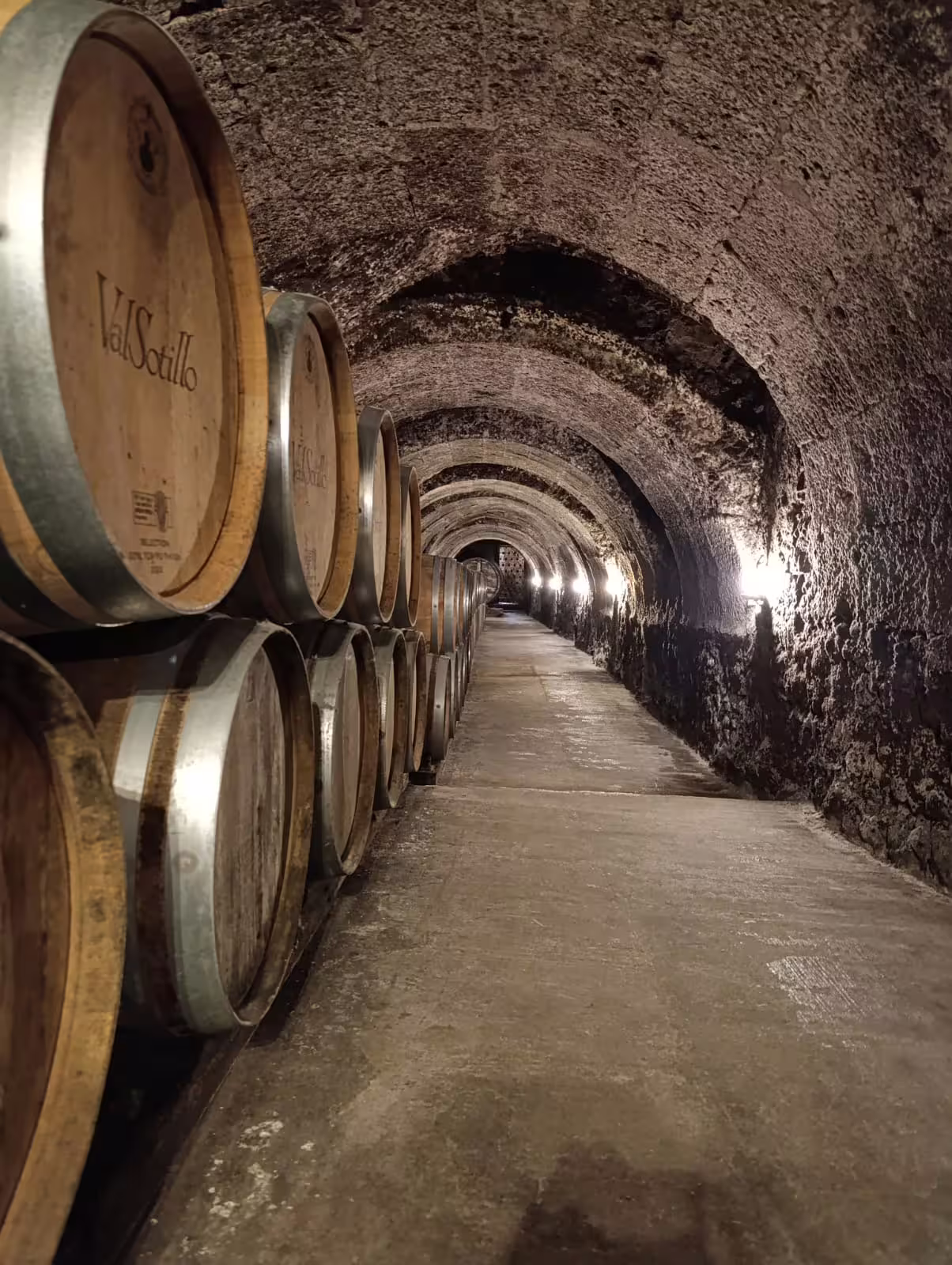 Explore the historic wine cellars of Ribera del Duero, lined with oak barrels aging exquisite Spanish wines.