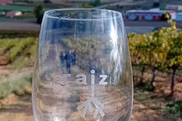 Close-up of a Raiz-branded wine glass with scenic Ribera del Duero vineyard backdrop, highlighting wine tasting tour.