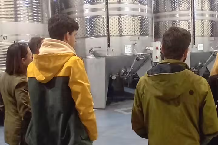 Visitors observe stainless steel wine fermentation tanks during Ribera del Duero winery tour from Madrid.