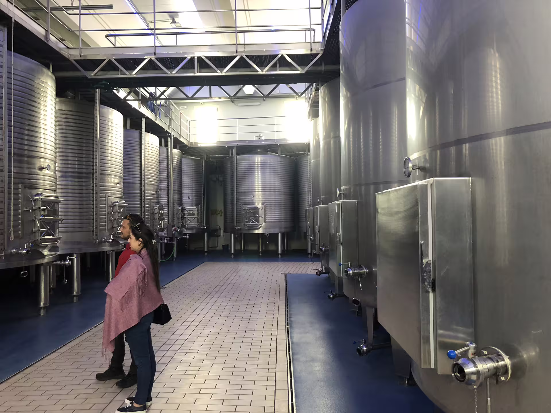 Visitors tour a modern Ribera del Duero winery, observing large stainless steel fermentation tanks.