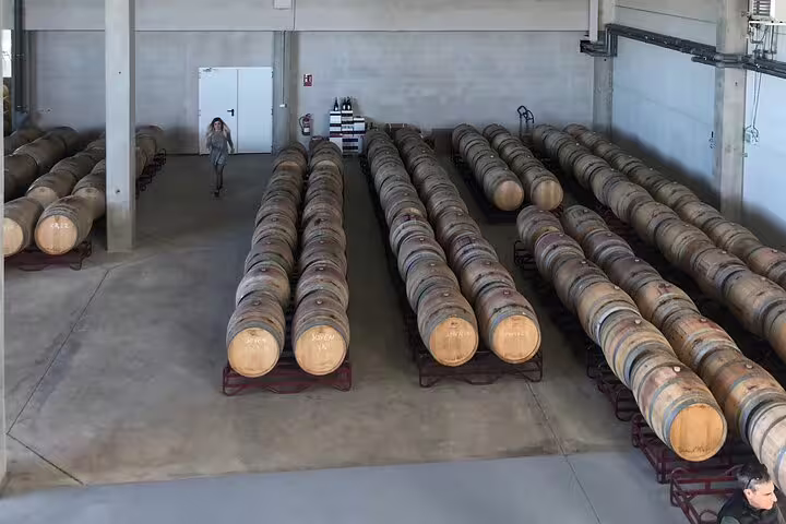 Barrel room filled with rows of oak barrels aging wine at a Ribera del Duero winery, part of Madrid tour.