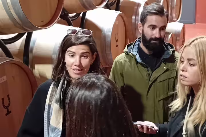 Tour group explores Ribera del Duero winery, surrounded by oak barrels, during a Madrid day trip.