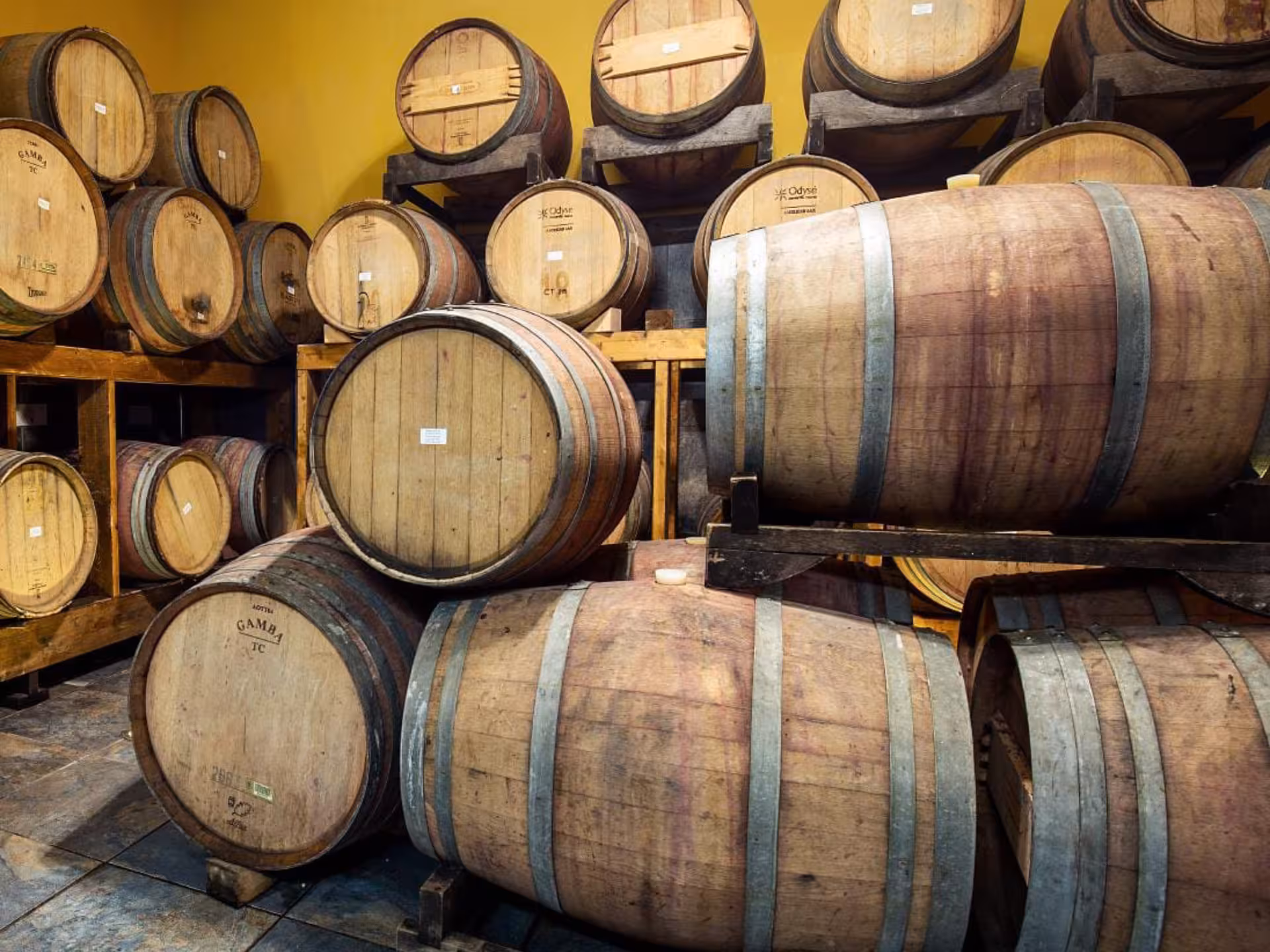 Wooden wine barrels aging in a Rieti countryside winery, highlighting traditional Italian winemaking.