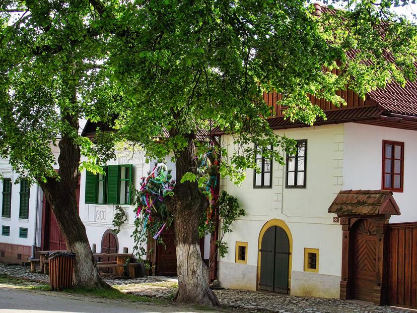 Charming traditional white houses and cobblestone street in Rimetea village on a full-day tour from Cluj-Napoca