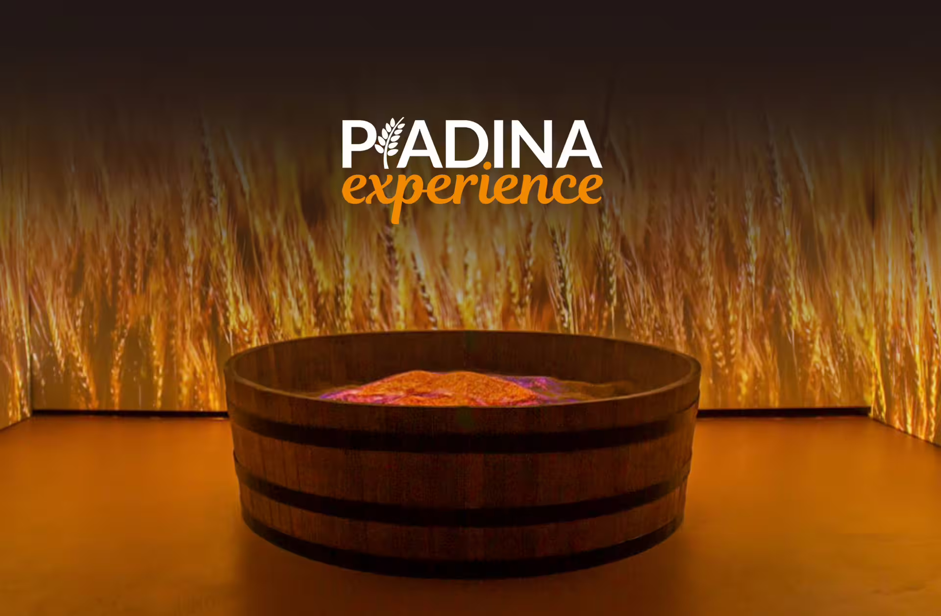 Piadina Experience exhibit at Rimini Piadina Museum, immersive wheat display before lunch or dinner tasting