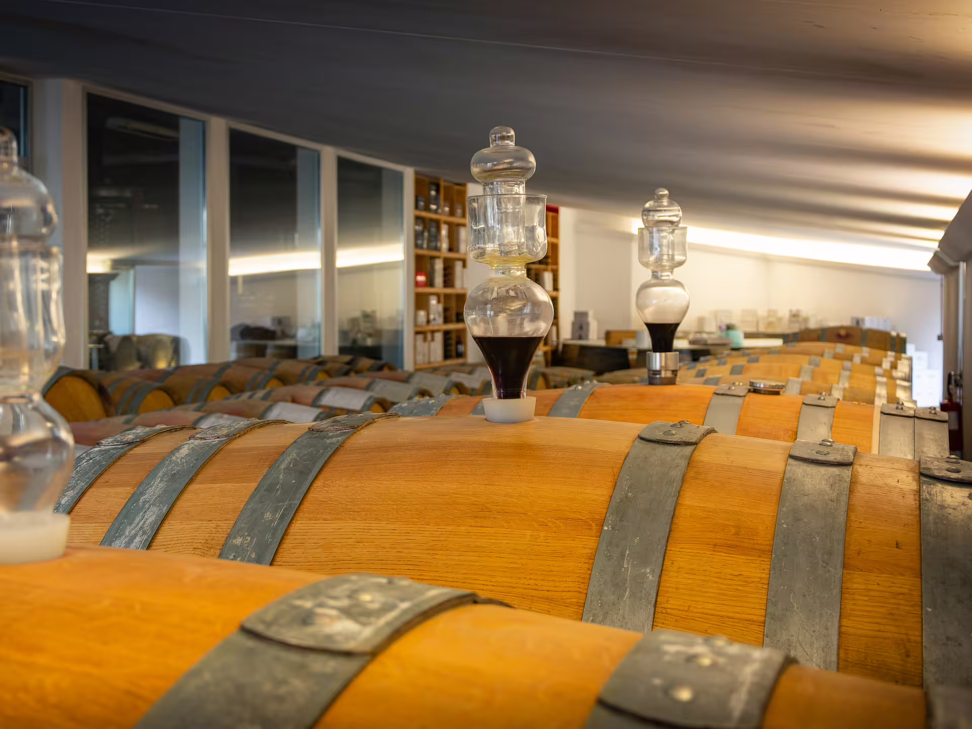 Oak barrels in Rimini cellar for San Valentino DOC wine tasting tour, showcasing aging and local production