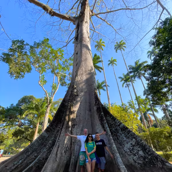 Visitors stand by a giant tree in Rio’s Botanical Garden, showcasing the lush greenery and towering palms.