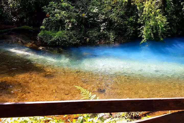 Tranquil view of Rio Celeste's clear blue waters contrasted by lush green jungle foliage.