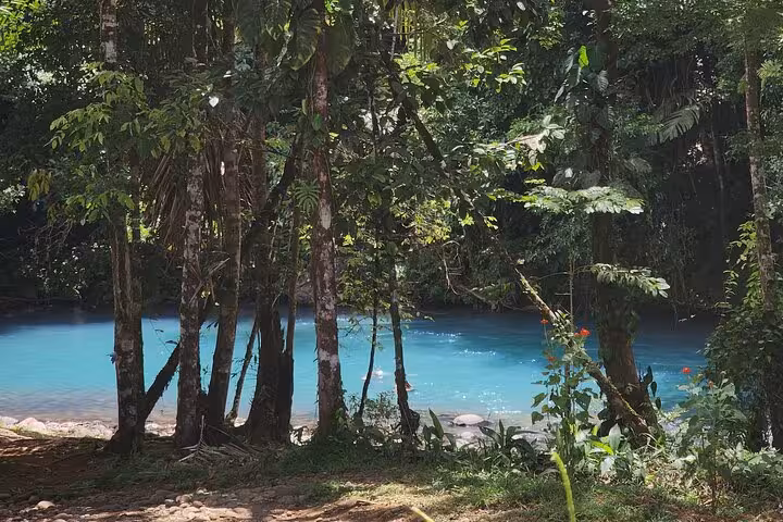 Tranquil view of the vibrant blue Río Celeste flowing through dense tropical forest.